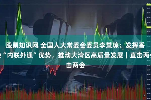 股票知识网 全国人大常委会委员李慧琼：发挥香港“内联外通”优势，推动大湾区高质量发展｜直击两会
