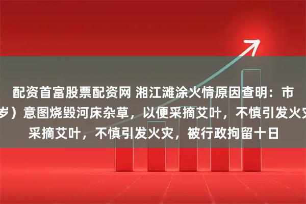 配资首富股票配资网 湘江滩涂火情原因查明：市民许某某（女，66岁）意图烧毁河床杂草，以便采摘艾叶，不慎引发火灾，被行政拘留十日